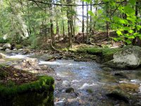 2839 Furnace Brook