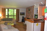 203 Old Mill Pinnacle
