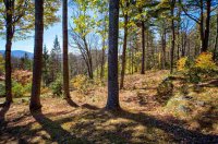 1261 North Bridgewater