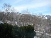 794 East Mountain Fall Line