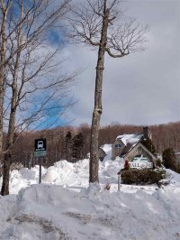 780 East Mountain