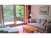 495 Kestrell Drive Hawk Resort