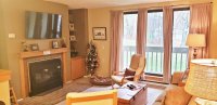 203 Old Mill PINNACLE