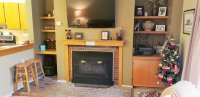 203 Old Mill PINNACLE