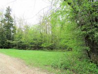 1830 Lynds Hill Road None