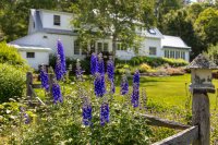 2150 Hale Hollow