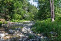 2150 Hale Hollow