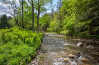 2150 Hale Hollow