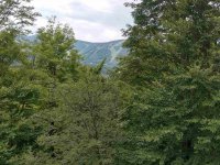 57 High Ridge