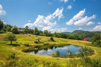 2861 Hale Hollow