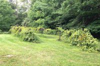 5 Beebe Hill