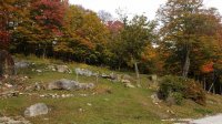 424 Trailside
