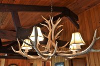 423 Rustic