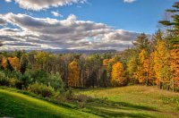 229 Blankey Cottage