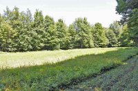 435 South Mendon