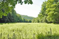 435 South Mendon