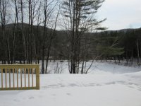 275 Iver Johnson