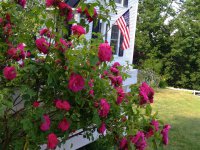 403 North Bridgewater