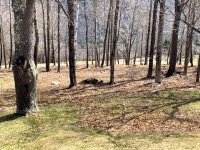 3589 Liberty Hill