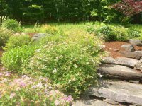 614 Deer Brook