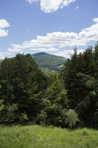 614 Deer Brook