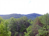 614 Deer Brook