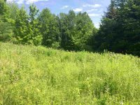 614 Deer Brook
