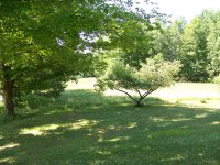 116 Saw Mill Hill