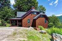 49 Hunny Tree