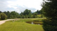 91 Mountain View