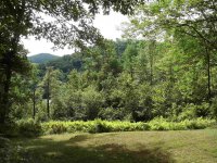 147 Clay Hill