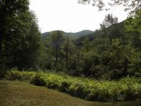 147 Clay Hill