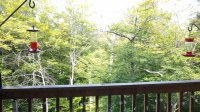 907 East Mountain