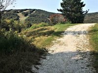 524 East Mountain