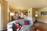 528 East Mountain