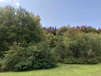 536 East Mountain