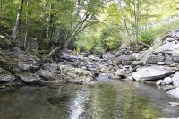 3833 Brandon Mountain