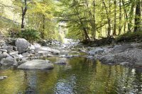 3833 Brandon Mountain