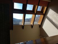 394 Winterberry