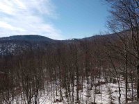 394 Winterberry