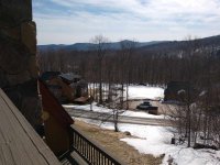 394 Winterberry