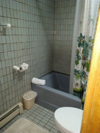 394 Winterberry