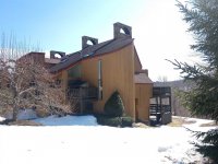 394 Winterberry