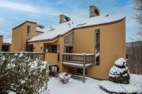 394 Winterberry