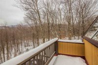 394 Winterberry
