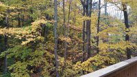 241 Hemlock Ridge