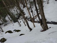241 Hemlock Ridge