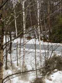 241 Hemlock Ridge