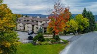 203 Old Mill Pinnacle