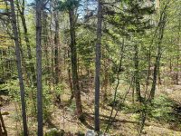 241 Hemlock Ridge